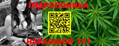 соль курить ск Кингисепп