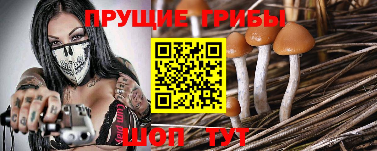Галлюциногенные грибы прущие грибы Балашов
