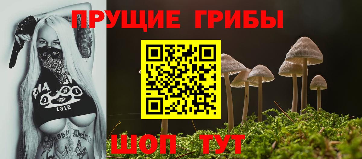 Псилоцибиновые грибы Psilocybe  Псилоцибиновые грибы ЛСД  Балашов  Вход с VPN 